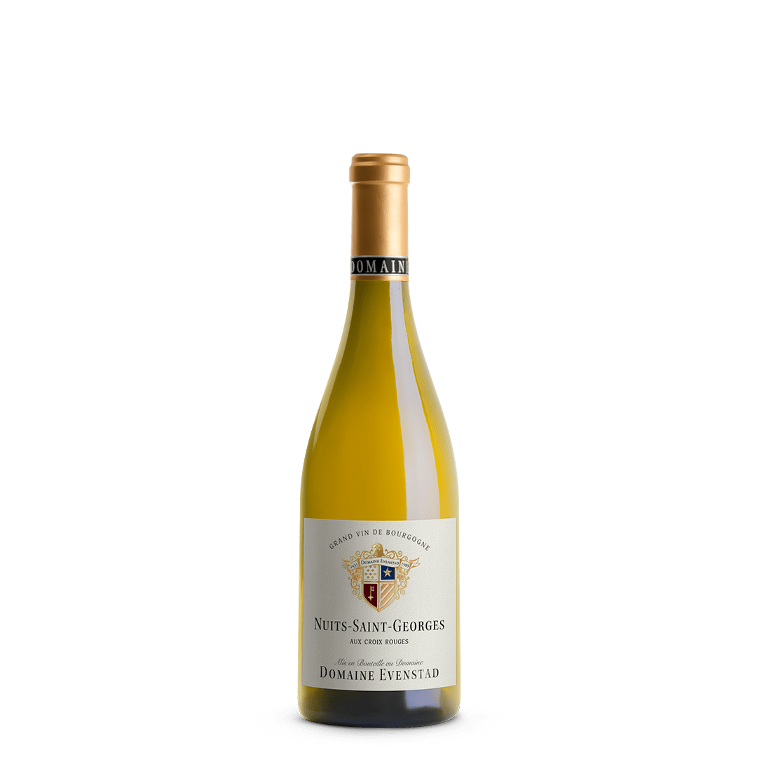 Nuits-Saint-Georges Blanc 2023