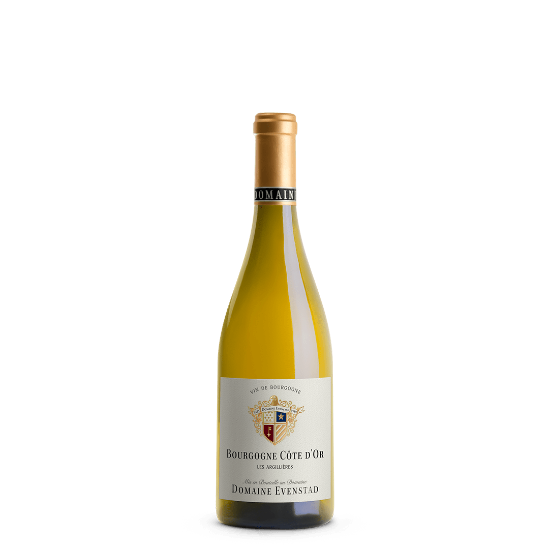Bourgogne Blanc 2024
